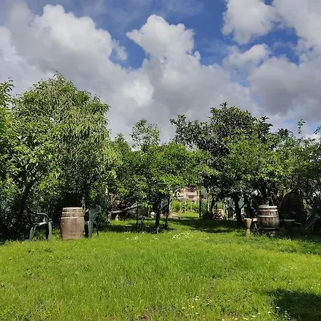 Pontevedra's House * Pontevedra