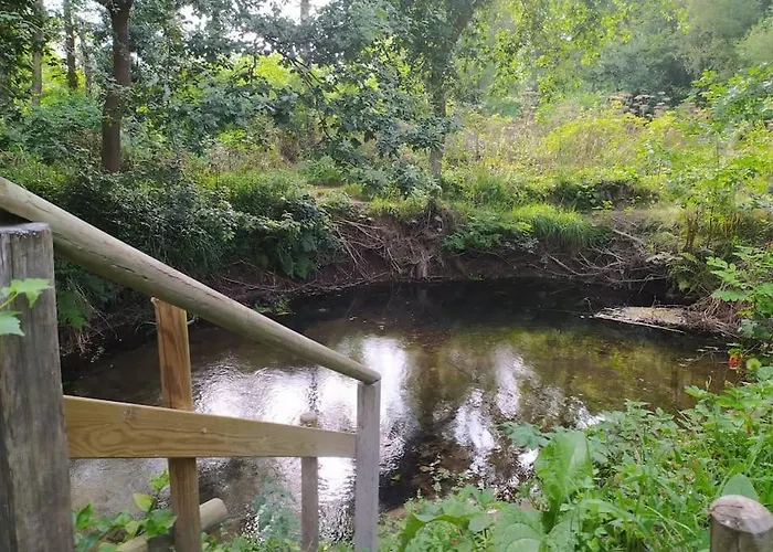 Prázdninový dům Pontevedra's House Pontevedra